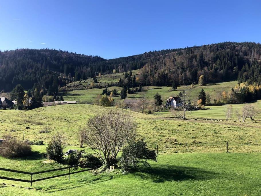 Schwarzwald Loft Menzenschwand Apartment Luaran gambar