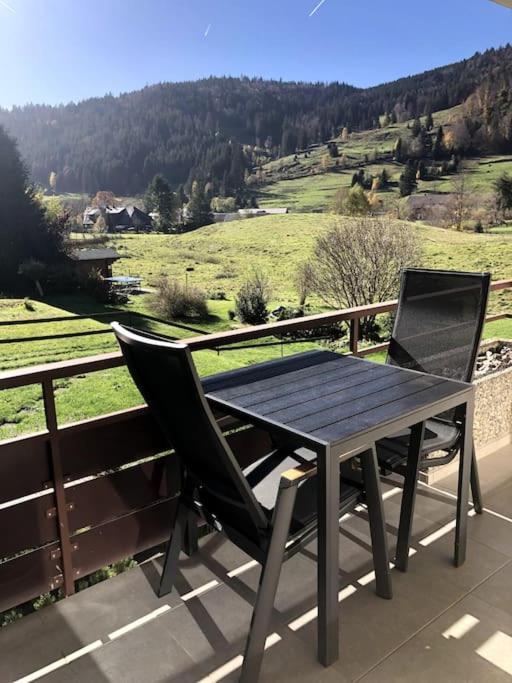Schwarzwald Loft Menzenschwand Apartment Luaran gambar