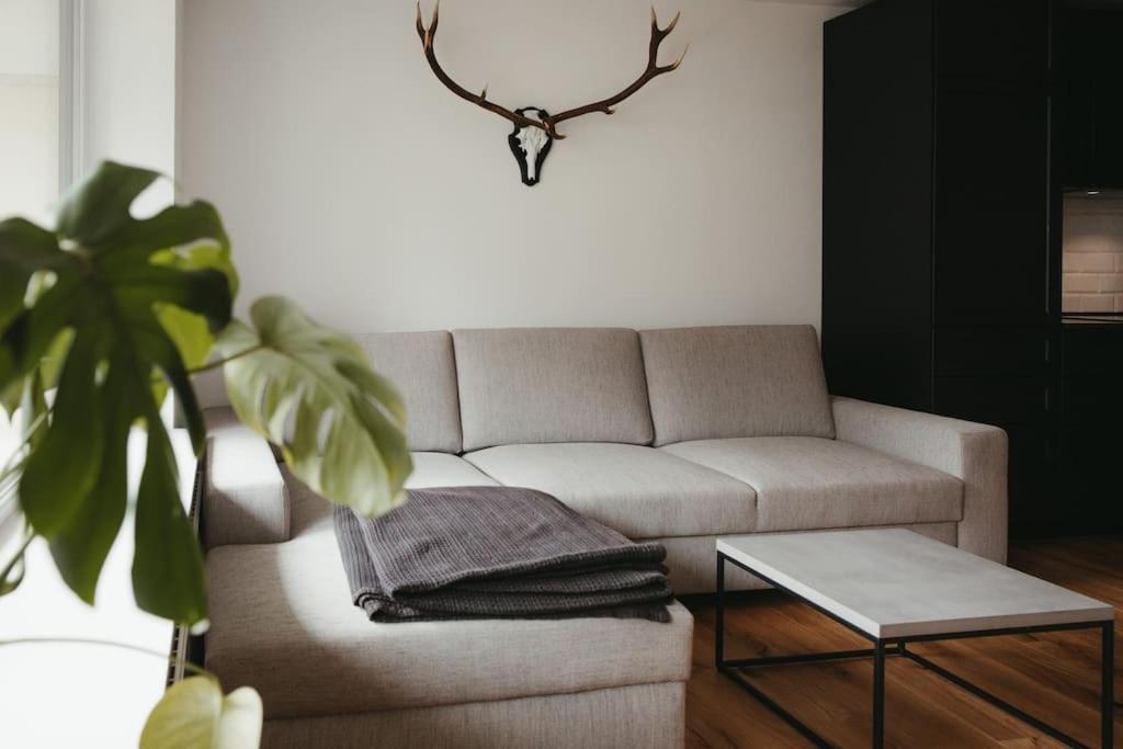 Schwarzwald Loft Menzenschwand Apartment Luaran gambar